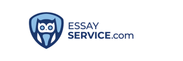 custom essay writing service from USA